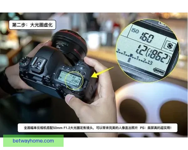 世界杯竞猜热门平台推荐与玩法解析，助你轻松赢取大奖