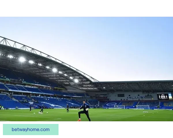 betway下载官方最新版入口指南安全安装步骤与平台功能全面解析