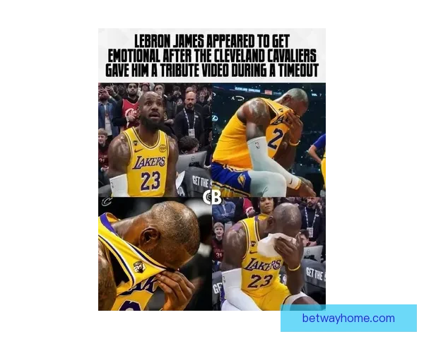 詹姆斯手指伤势无碍客场最后一战将全力以赴