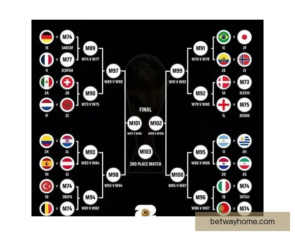 2026世界杯参赛队伍全解析及夺冠热门预测分析