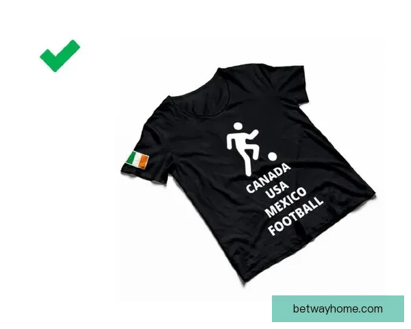 美加墨世界杯精彩竞猜策略全面解析与实用指南