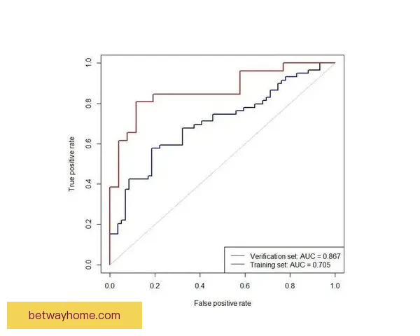 基于数据分析与球队状态评估的世界杯竞猜结果精准预测指南