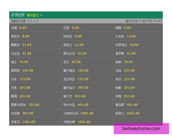 世界杯竞猜赔率全面解析及热门赛果预测指南揭秘